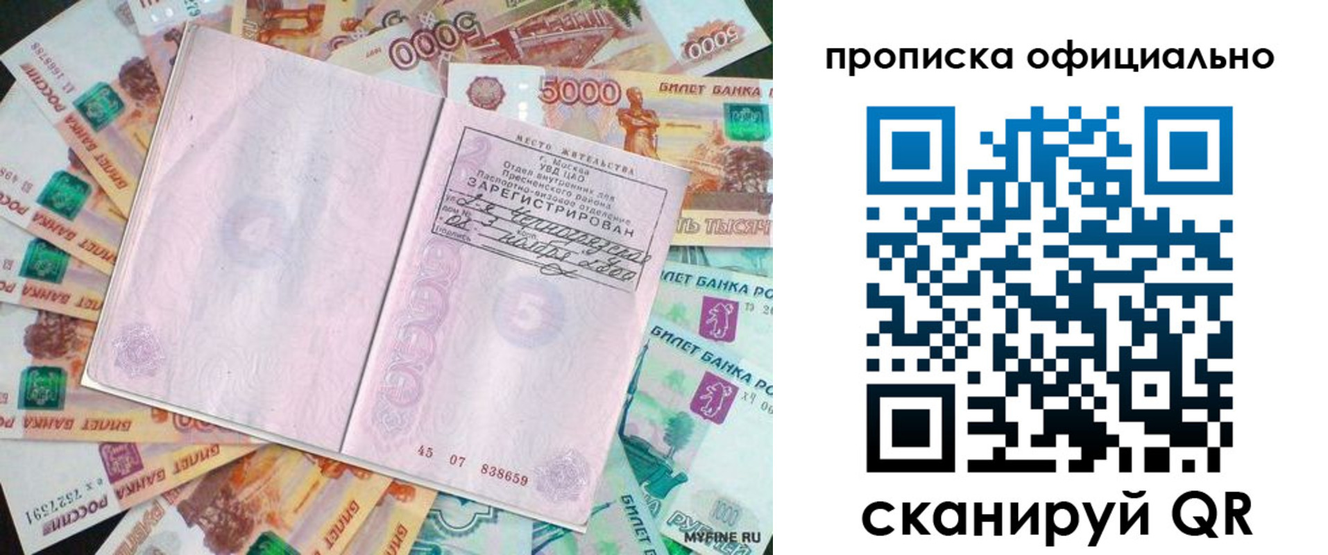 прописка поиск в Михайловске